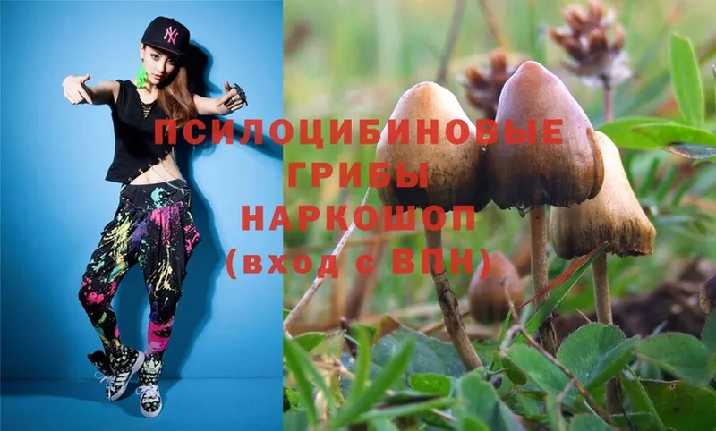 цены наркотик  Петровск-Забайкальский  Галлюциногенные грибы MAGIC MUSHROOMS 